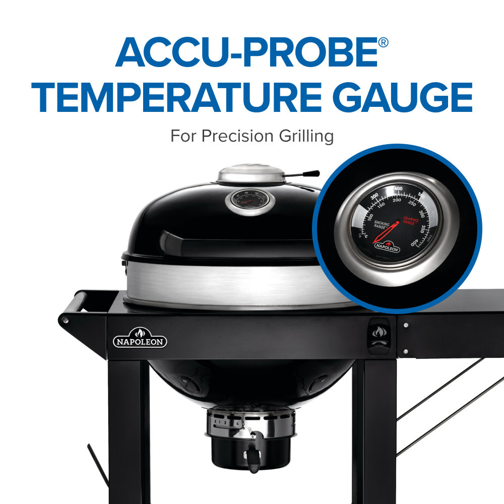 Napoleon Charcoal Pro Cart 22" Grill